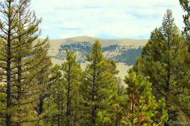 2882 Middle Fork Vista Fairplay, CO 80440