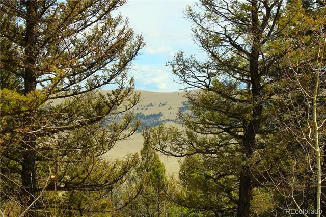 2882 Middle Fork Vista Fairplay, CO 80440