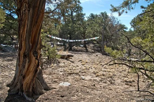 3519 Forest Trail Ol Crestone, CO 81131