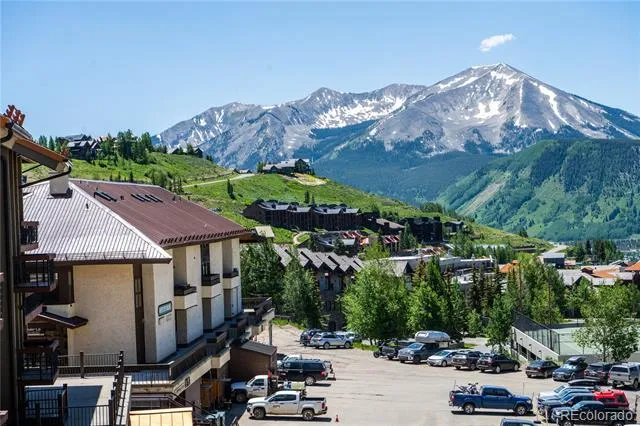 500 Gothic Road #340 Mt Crested Butte, CO 81225