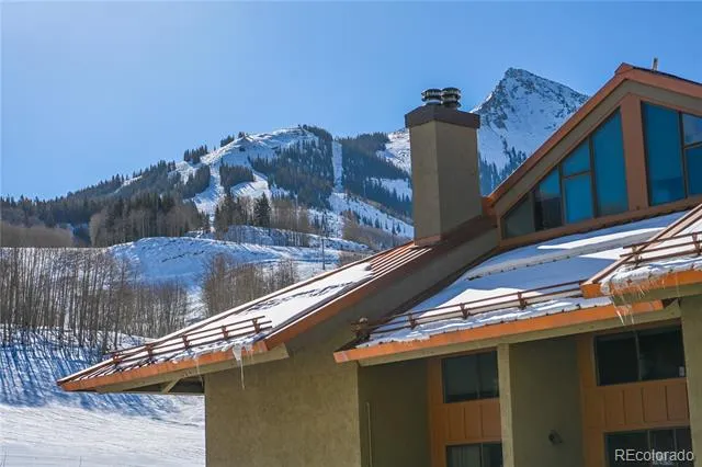 500 Gothic Road #340 Mt Crested Butte, CO 81225