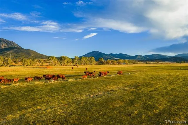 TB County Road 554 Gardner, CO 81040
