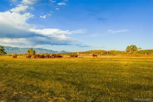 TB County Road 554 Gardner, CO 81040