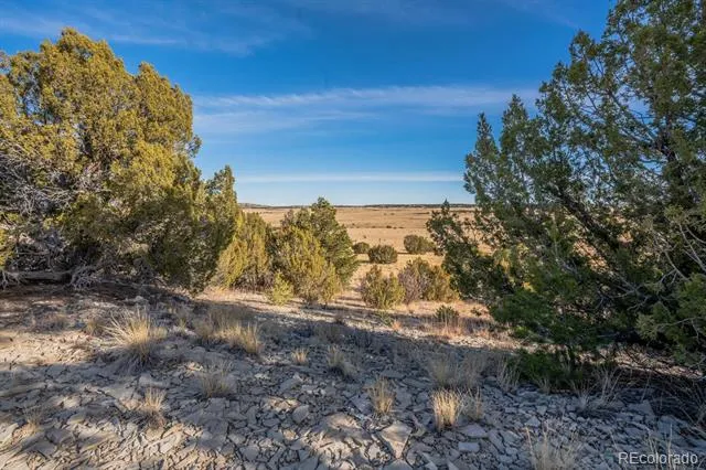 24 Hatchet Ranch Colorado City, CO 81019