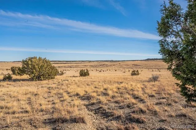 24 Hatchet Ranch Colorado City, CO 81019