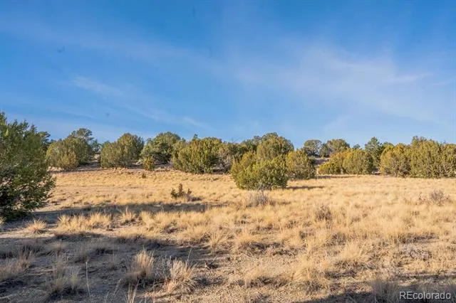 24 Hatchet Ranch Colorado City, CO 81019