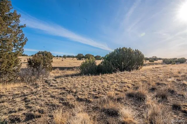 24 Hatchet Ranch Colorado City, CO 81019