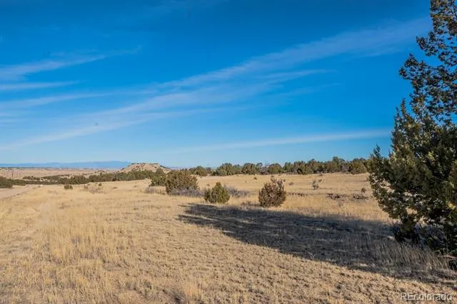 24 Hatchet Ranch Colorado City, CO 81019