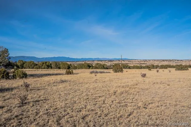 24 Hatchet Ranch Colorado City, CO 81019