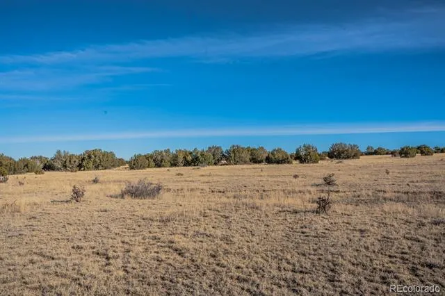 24 Hatchet Ranch Colorado City, CO 81019