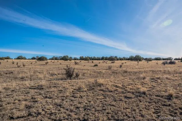 24 Hatchet Ranch Colorado City, CO 81019
