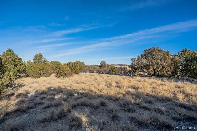 24 Hatchet Ranch Colorado City, CO 81019