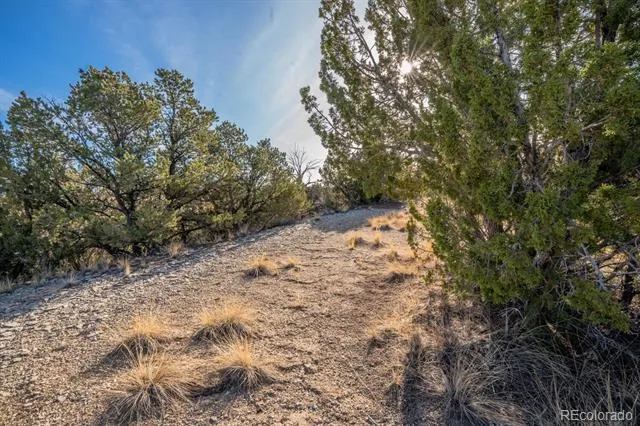 24 Hatchet Ranch Colorado City, CO 81019