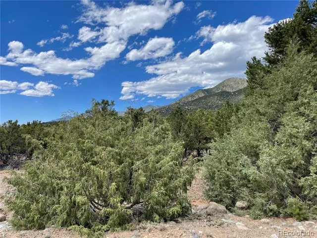 4286 Fallen Tree Crestone, CO 81131