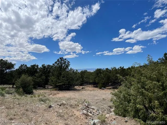 4286 Fallen Tree Crestone, CO 81131