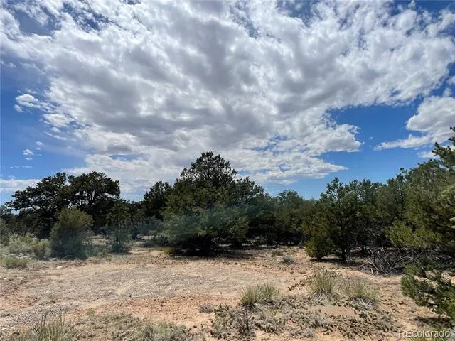 4286 Fallen Tree Crestone, CO 81131