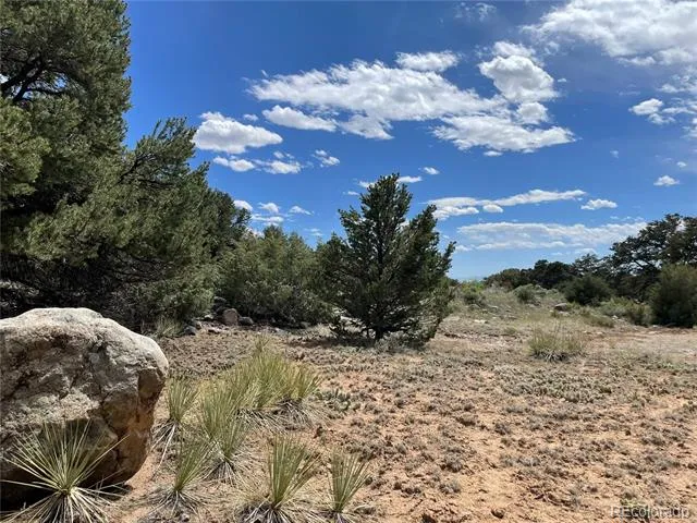 4286 Fallen Tree Crestone, CO 81131