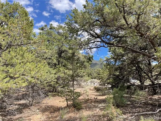 4286 Fallen Tree Crestone, CO 81131