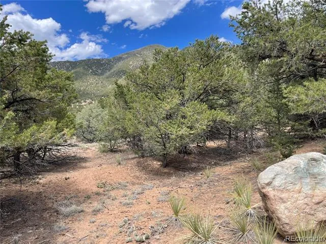 4286 Fallen Tree Crestone, CO 81131