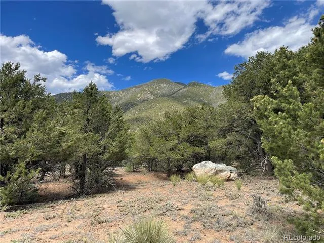 4286 Fallen Tree Crestone, CO 81131