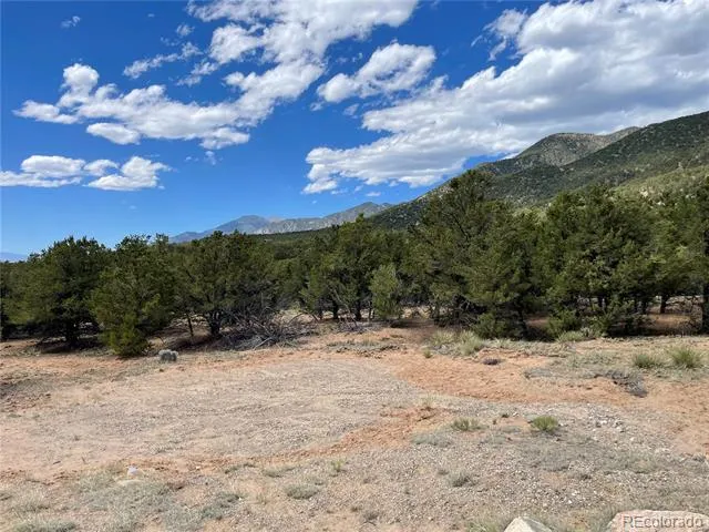 4286 Fallen Tree Crestone, CO 81131