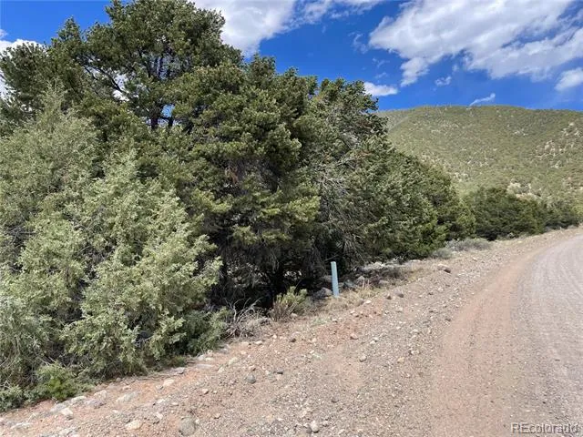 4286 Fallen Tree Crestone, CO 81131