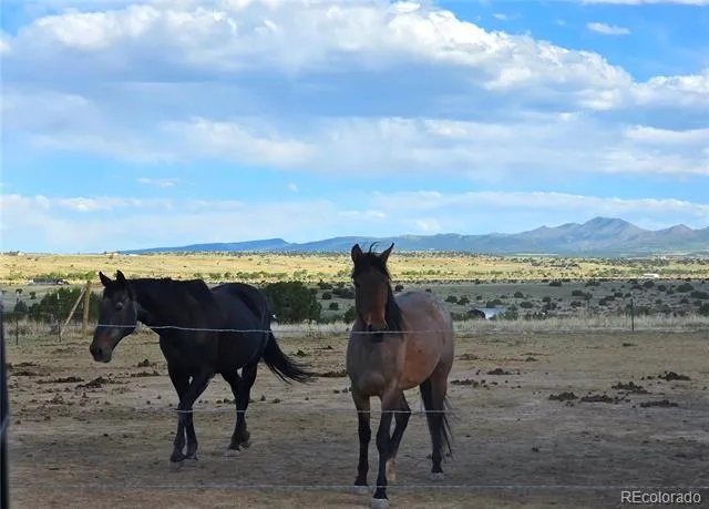 8650 State Highway 67 Florence, CO 81226