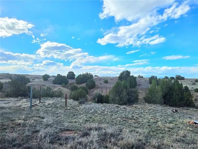 8650 State Highway 67 Florence, CO 81226