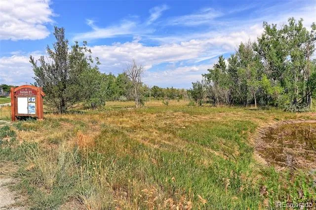 3225 E 124th Avenue Thornton, CO 80241