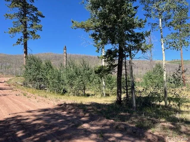 960-961 Huntington Lane Fort Garland, CO 81133