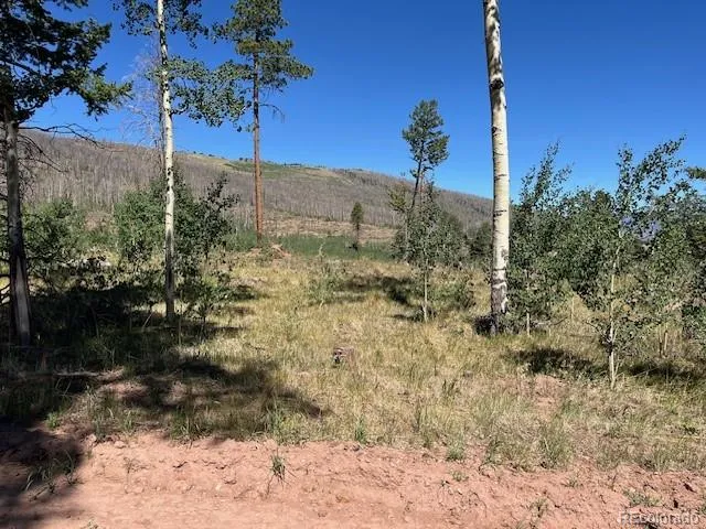 960-961 Huntington Lane Fort Garland, CO 81133