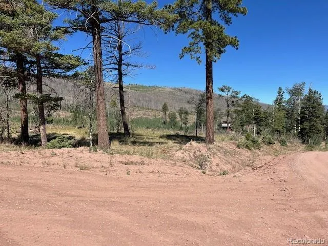 960-961 Huntington Lane Fort Garland, CO 81133