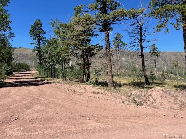 960-961 Huntington Lane Fort Garland, CO 81133