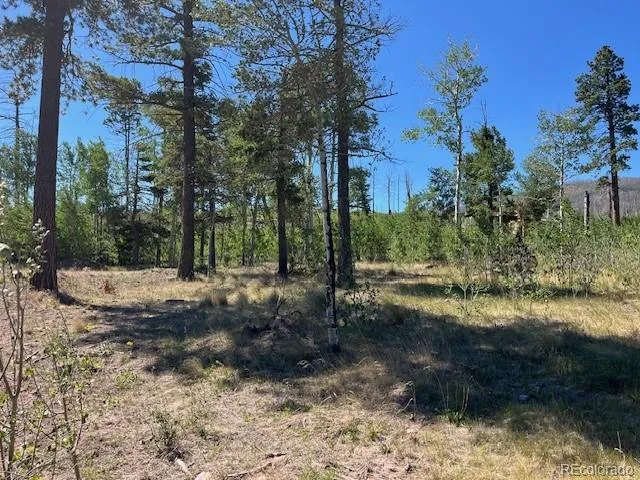 960-961 Huntington Lane Fort Garland, CO 81133