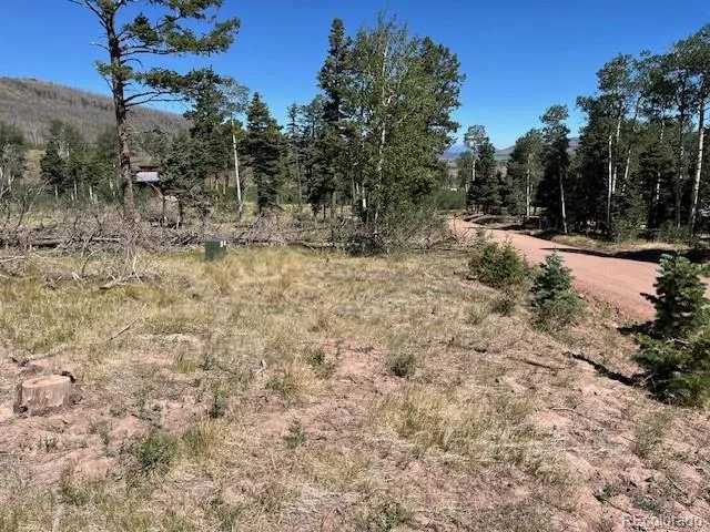 960-961 Huntington Lane Fort Garland, CO 81133