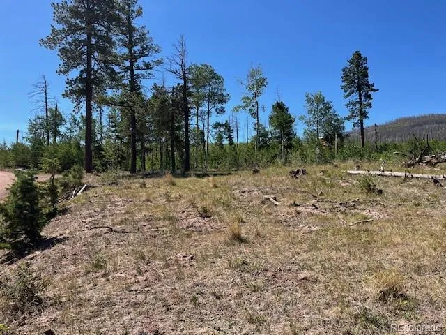 960-961 Huntington Lane Fort Garland, CO 81133