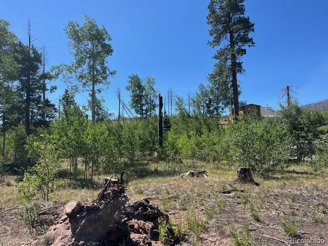 960-961 Huntington Lane Fort Garland, CO 81133