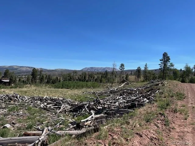 960-961 Huntington Lane Fort Garland, CO 81133