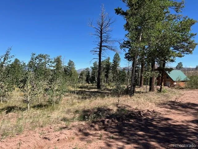 960-961 Huntington Lane Fort Garland, CO 81133