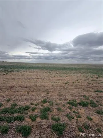 . WCR 81 and Co Rd 8 Roggen, CO 80652