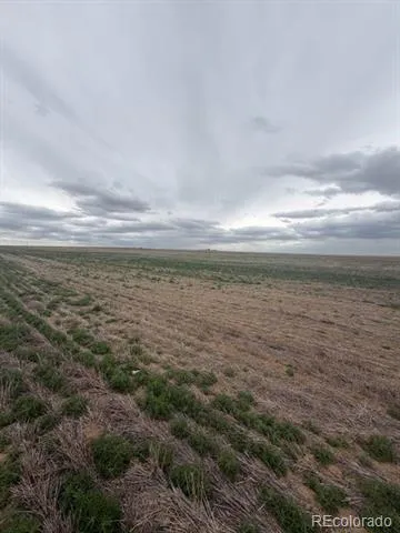 . WCR 81 and Co Rd 8 Roggen, CO 80652