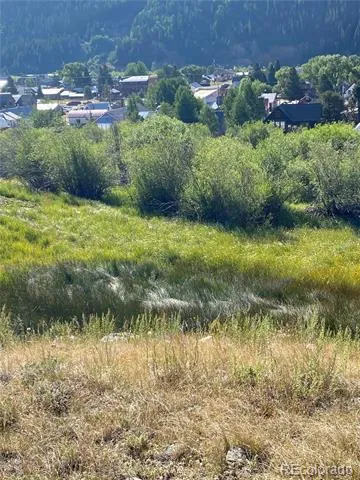 Snowden Street Silverton, CO 81433