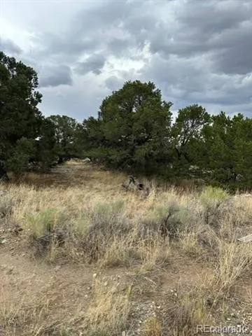 Address Not Shown Mosca, CO 81146