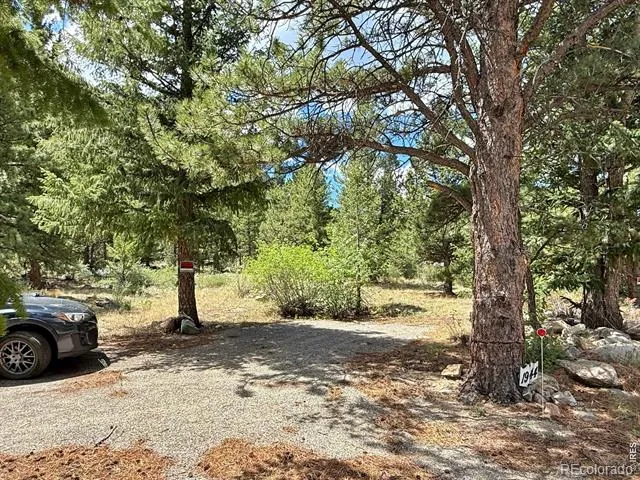 1944 Alvarado Road Georgetown, CO 80444
