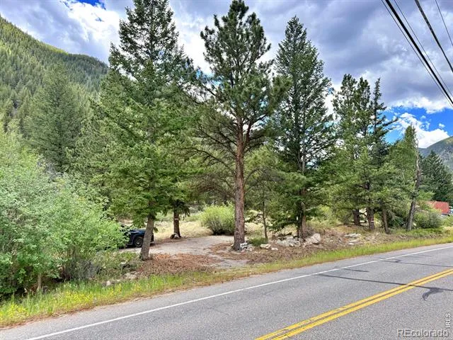 1944 Alvarado Road Georgetown, CO 80444