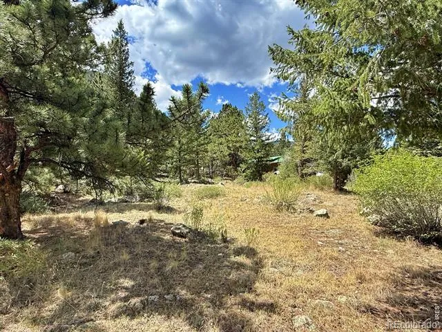 1944 Alvarado Road Georgetown, CO 80444
