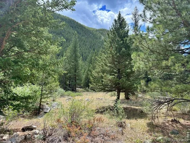 1944 Alvarado Road Georgetown, CO 80444