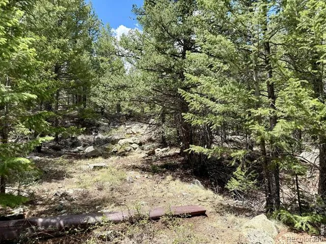 1944 Alvarado Road Georgetown, CO 80444