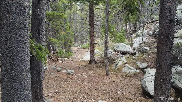 000 Brook Drive Idaho Springs, CO 80452