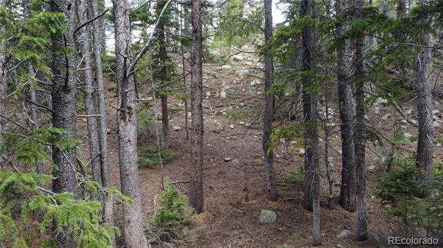 000 Brook Drive Idaho Springs, CO 80452